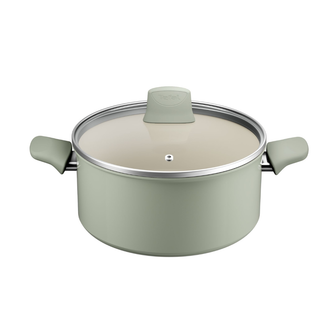 Tefal Recycle Induction Ceramic Green Lichen Non-Stick Stewpot 24cm + Lid