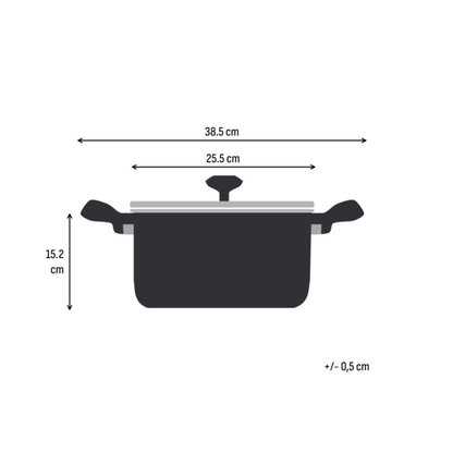 Tefal Emotion+ Induction Stainless Steel Uncoated Stewpot 24cm + Lid
