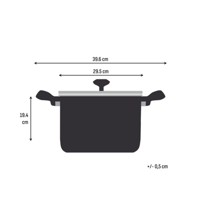 Tefal Space+ Emotion+ XL Induction Stainless Steel Big Pot 9.6L
