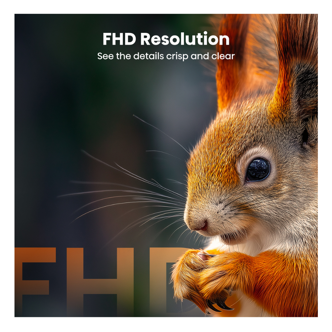 Hisense 32" Q6SAU FHD QLED Smart TV (2026)