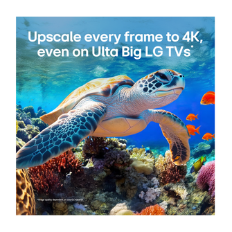 LG 75