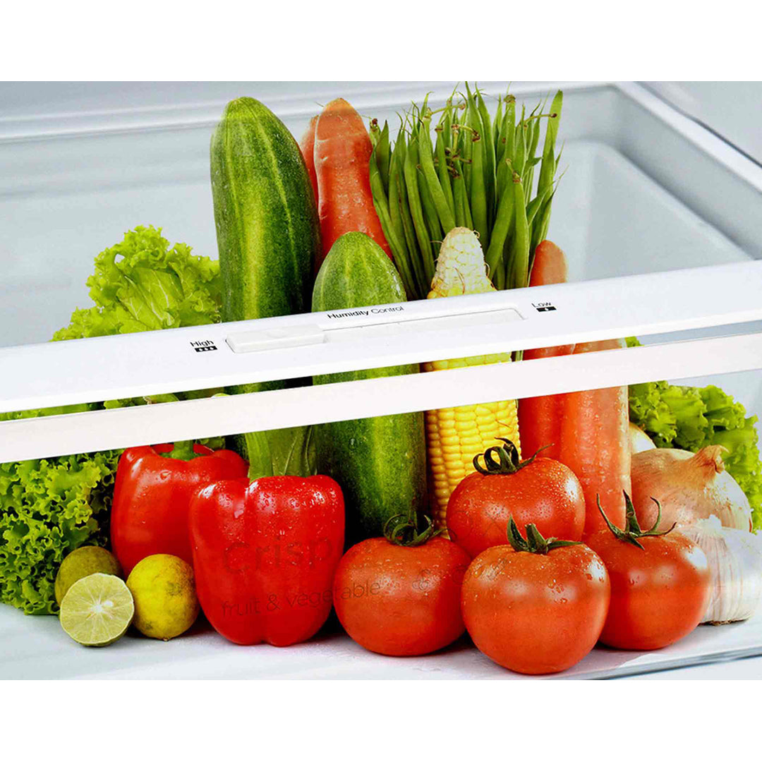 ChiQ 410L Top Mount Fridge in Stainless Steel - CTM408NSS image_3