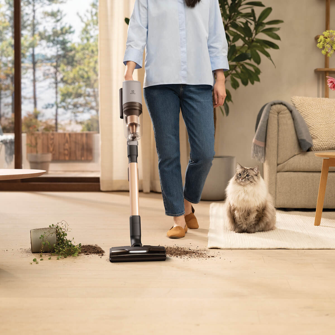 Person using an Electrolux 800 series cordless stick vacuum with PetPro nozzle to clean spilled soil near a cat in a bright living room, showing powerful suction and pet friendly design. 