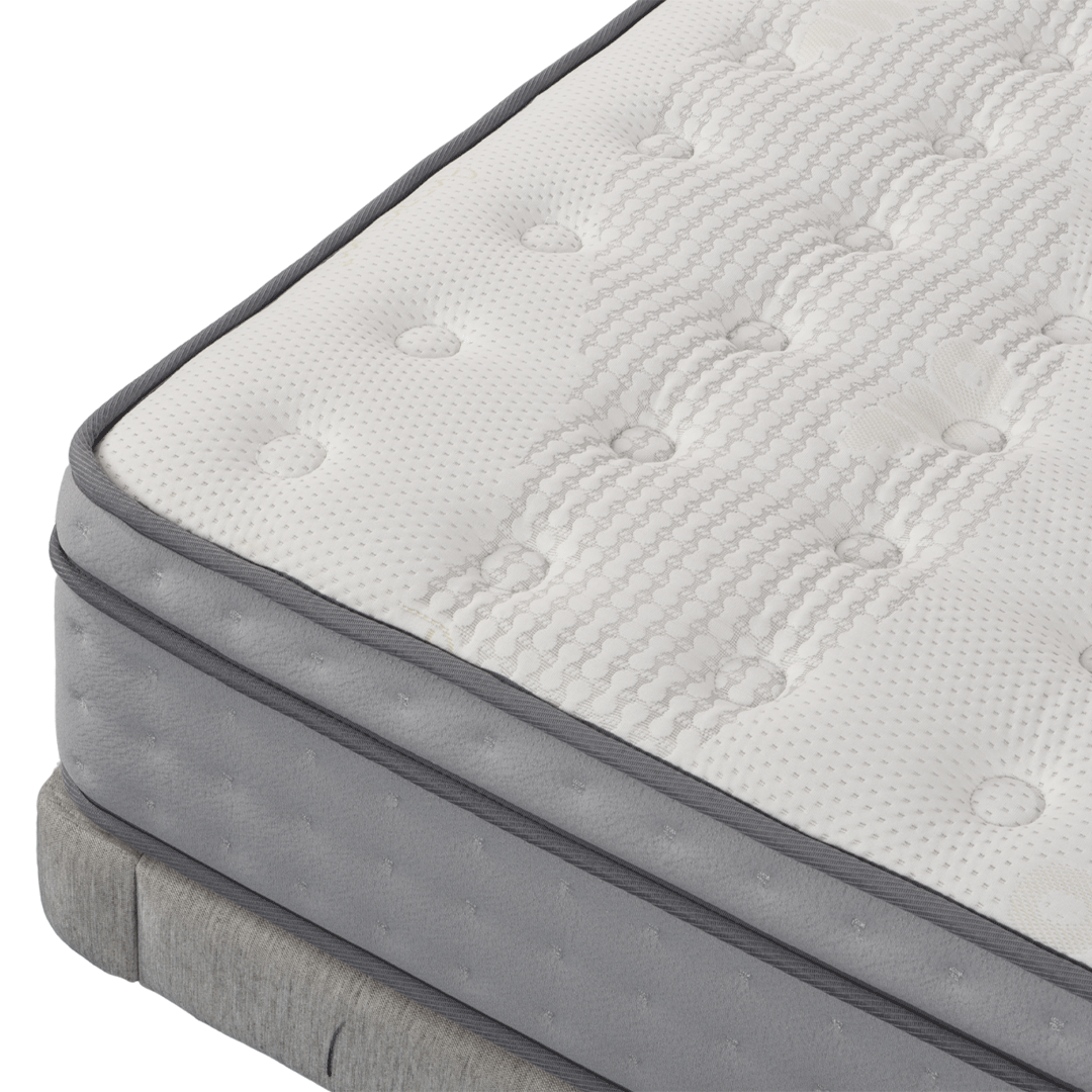 DreamRite Elite Queen Mattress In a Box