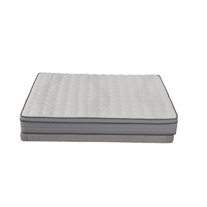 DreamRite Elite Single Mattress In a Box