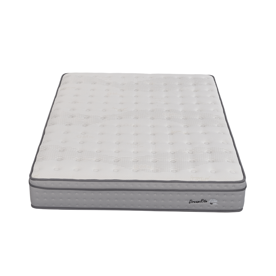 DreamRite Elite Queen Mattress In a Box