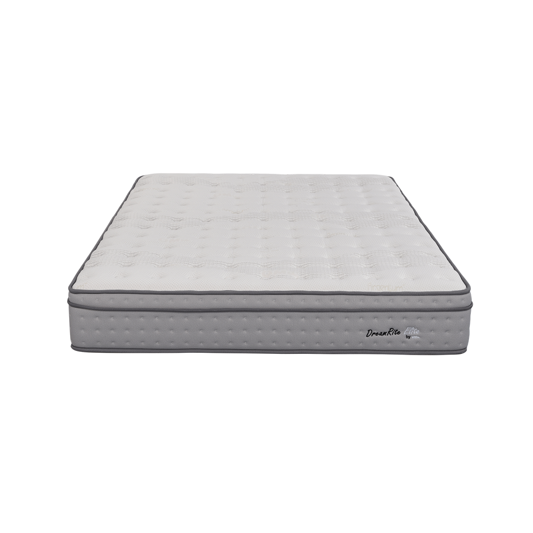 DreamRite Elite Queen Mattress In a Box