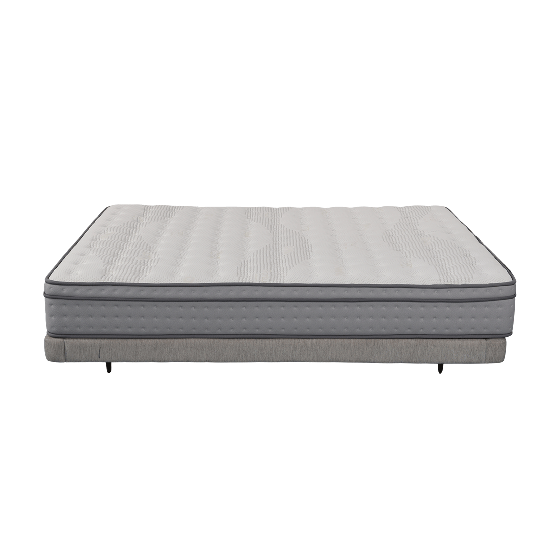 DreamRite Elite Queen Mattress In a Box