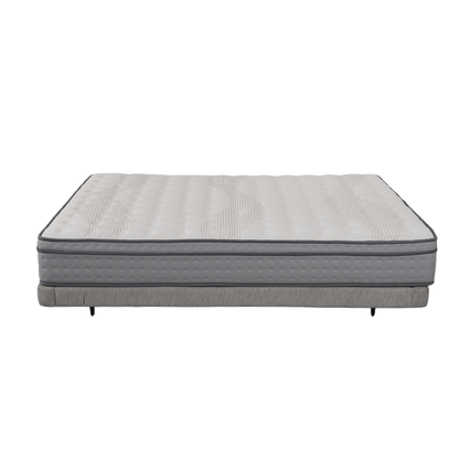 DreamRite Elite Queen Mattress In a Box