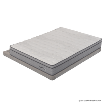 DreamRite Elite Queen Mattress In a Box