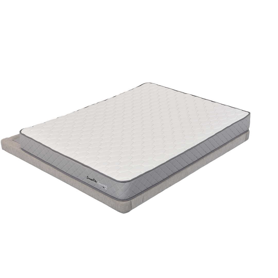 DreamRite Essentials Queen Mattress In a Box