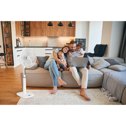 Family sitting on a couch with a laptop in a modern living room, with a white Mitsubishi Electirc Pedestal fan in the foreground.