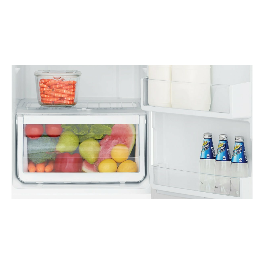 A close up view of the fresh produce draw and door bins at the bottom of the Westinghouse 256L top mount fridge.