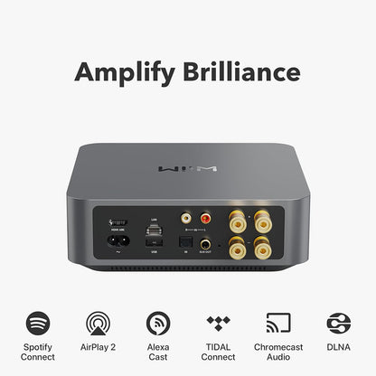 WiiM Amp Multiroom Streaming Amplifier Silver