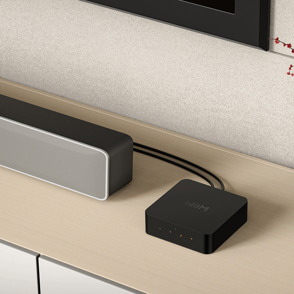 WiiM Pro Plus Wireless Audio Streamer AirPlay 2 & Chromecast