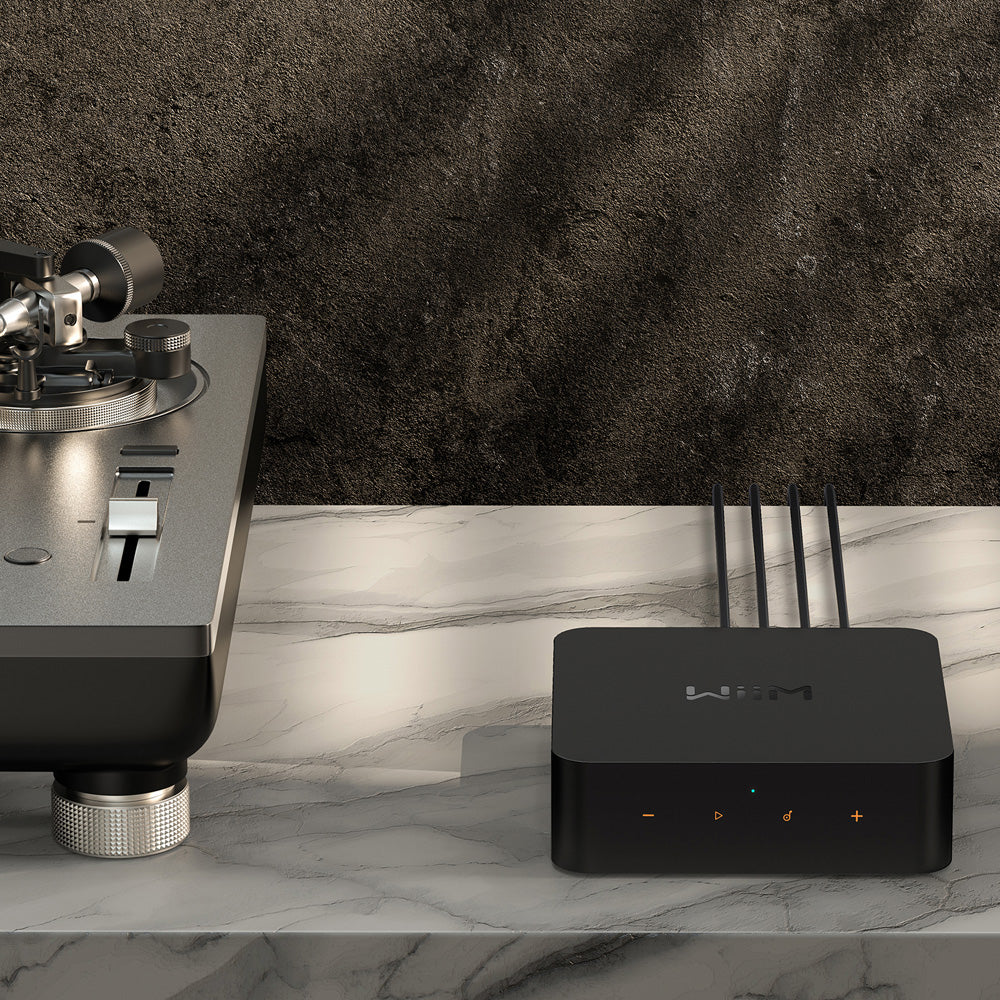 WiiM Pro Wireless Audio Streamer AirPlay 2 & Chromecast