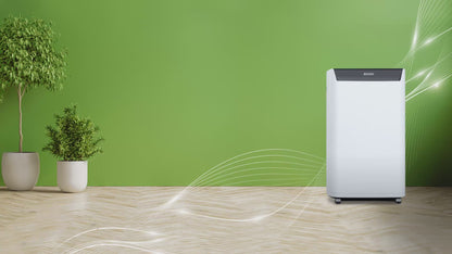 Informative video of the OIimpia Splendid Dehumidifier 